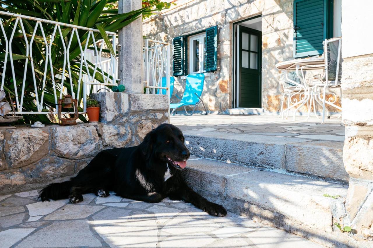 Apartment A Kind Of Magic Dubrovnik Dış mekan fotoğraf